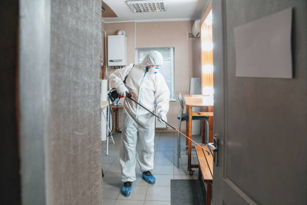 Best Water Damage & Mold Remediation  in Jersey Village, TX