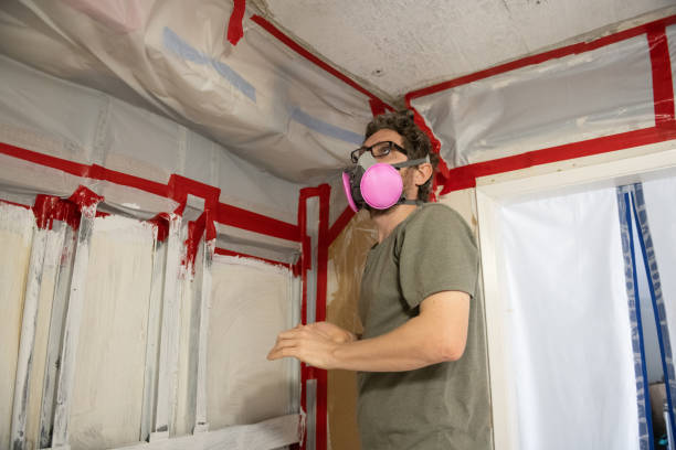 Best Mold Documentation for Insurance Claims  in Jersey Village, TX