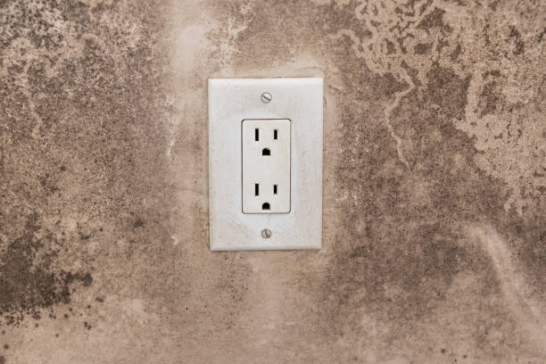 Best Mold Removal for HVAC Installations  in Jersey Village, TX